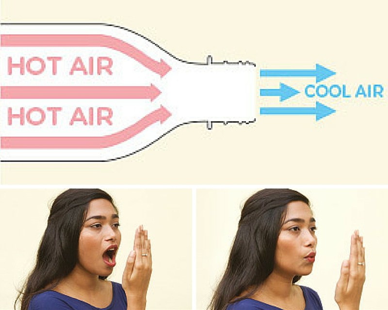 Esta imagen tiene un atributo ALT vacío; su nombre de archivo es Ecocooler.jpg